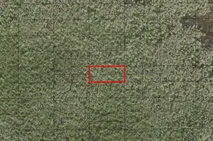 0 Holopaw Groves Rd, Saint Cloud, FL 34772 - Photo 1