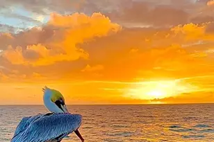 133 N Pompano Beach Blvd, Pompano Beach, FL 33062 - Photo 49