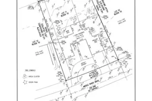 2501 Middle River Dr, Fort Lauderdale, FL 33305 - Photo 5