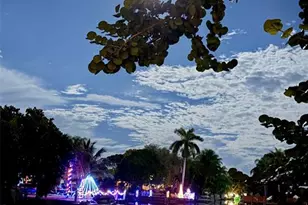 2705 Scott St, Hollywood, FL 33020 - Photo 5