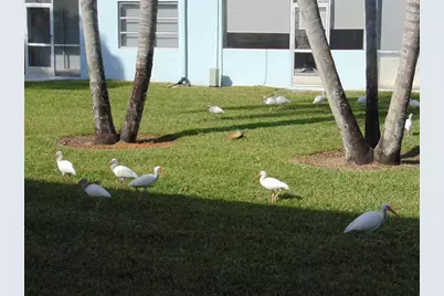 9788  Marina Blvd, Unit #313, Boca Raton, FL 33428 - Photo 71