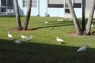 9788 Marina Blvd, Boca Raton, FL 33428 - Photo 71