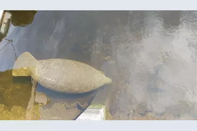 1806 NE 22nd Ter, Fort Lauderdale, FL 33305 - Photo 43