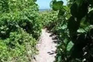 6660 N Ocean Blvd, Ocean Ridge, FL 33435 - Photo 3