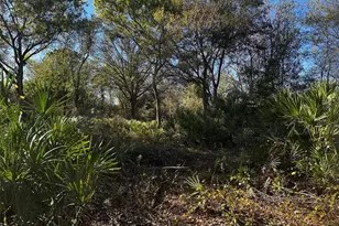 10305 NE 2nd Terrace, Okeechobee, FL 34972 - Photo 5