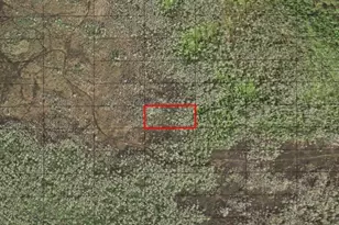 0 Holopaw Groves Rd, Saint Cloud, FL 34772 - Photo 1