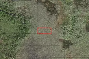 0 Holopaw Groves Rd, Saint Cloud, FL 34772 - Photo 1