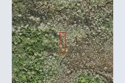 0  Holopaw Groves Rd, Saint Cloud, FL 34772 - Photo 1