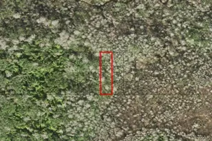 0 Holopaw Groves Rd, Saint Cloud, FL 34772 - Photo 1