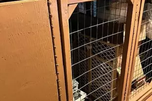 1950 N Andrews Ave, Fort Lauderdale, FL 33311 - Photo 17