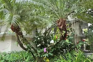 8951 N New River Canal Rd, Plantation, FL 33324 - Photo 3