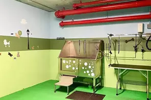 301 Altara Ave, Miami, FL 33146 - Photo 27