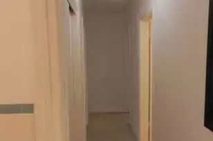 819 N Highland Dr, Hollywood, FL 33021 - Photo 15