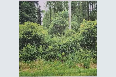 Xxxx  Fairbanks Ferry, Tallahassee, FL 32312 - Photo 3