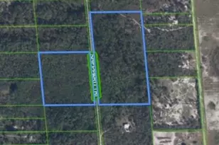 133 Sheppard Trail, Lake Placid, FL 33852 - Photo 1