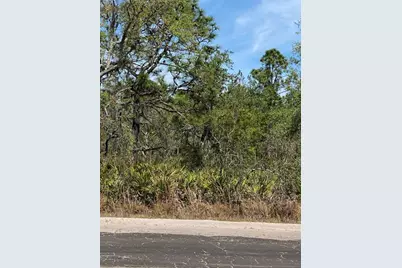 Lot 12 Blk 234  Palm Ave, Indian Lake Estates, FL 33855 - Photo 1