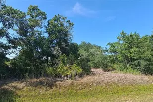17537 NW 262nd St, Okeechobee, FL 34972 - Photo 1