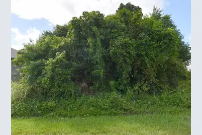 432 SE Starflower Ave, Port Saint Lucie, FL 34983 - Photo 1