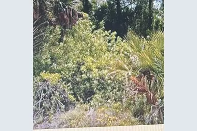 1812  Moore Ave, Lehigh Acres, FL 33972 - Photo 1