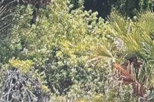 1812 Moore Ave, Lehigh Acres, FL 33972 - Photo 1