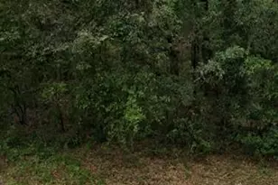 9012 N Westminister Ave, Citrus Springs, FL 34434 - Photo 1