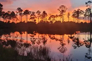 15355 93rd St, Fellsmere, FL 32948 - Photo 1