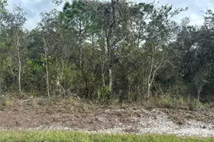 3035 W Dixon Rd, Avon Park, FL 33825 - Photo 1