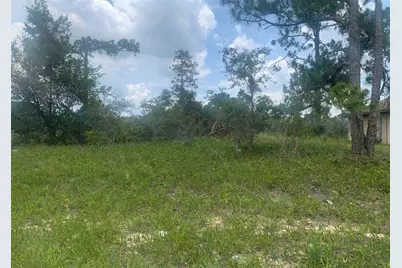 470  Lake Gloria Dr, Lake Placid, FL 33852 - Photo 1