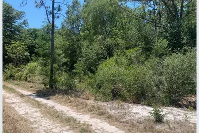 2649 N Todd Rd, Avon Park, FL 33825 - Photo 1