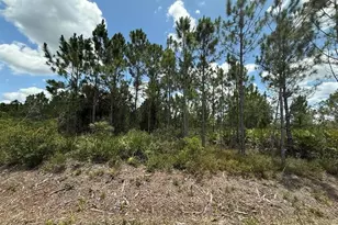 17428 NW 288th St, Okeechobee, FL 34972 - Photo 1
