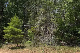 6709 Betty Ln, Navarre, FL 32566 - Photo 25