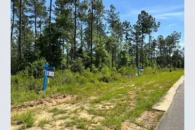 17 Steele Meadow Drive, Pace, FL 32571 - Photo 3