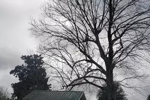 8100 Chumuckla Hwy, Milton, FL 32571 - Photo 3