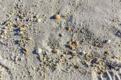 8501 Gulf Boulevard #PH2F, Navarre, FL 32566 - Photo 43