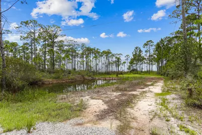 1301 Pearson Road, Milton, FL 32583 - Photo 5