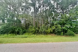 Tbd Brinkley St, Navarre, FL 32566 - Photo 1