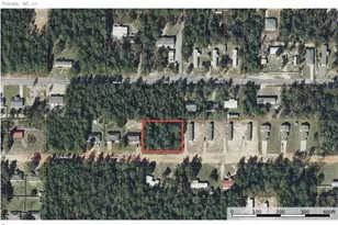 Lot 16 E Laurel Ln E, Mossy Head, FL 32434 - Photo 1