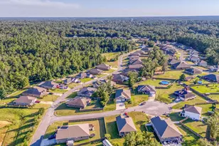 705 Hesed Ct, Cantonment, FL 32533 - Photo 71