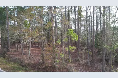 4529&amp;4533 Bayside Drive, Milton, FL 32583 - Photo 5