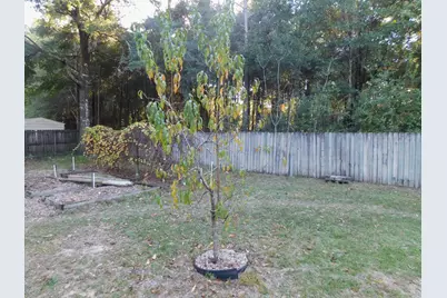 1650 Lady Lane, Baker, FL 32531 - Photo 23
