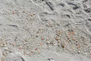 8499 Gulf Blvd, Navarre, FL 32566 - Photo 39