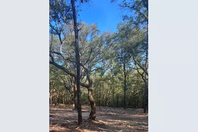 9499 Cornfield Way, Milton, FL 32583 - Photo 1