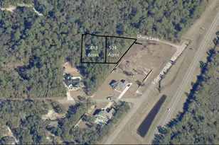 Lot 5 &amp 6 Olivia Ln, Milton, FL 32583 - Photo 1