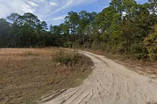 Lot 5 &amp 6 Olivia Ln, Milton, FL 32583 - Photo 3