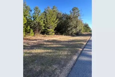 Tbd Farm Life Road, Milton, FL 32583 - Photo 3