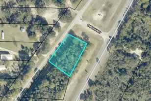 71 Acres Avalon Blvd, Milton, FL 32583 - Photo 1