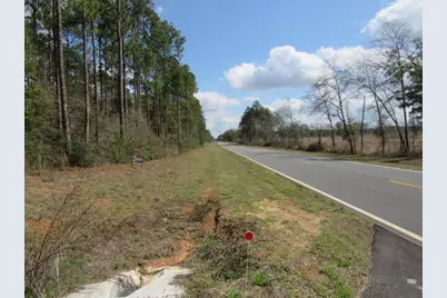 38 Ac Highway 2, Laurel Hill, FL 32567 - Photo 7