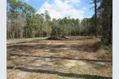 38 Ac Highway 2, Laurel Hill, FL 32567 - Photo 11
