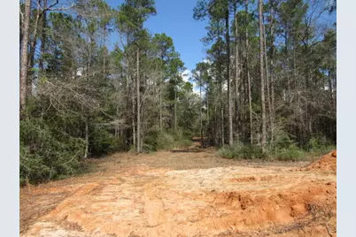 38 Ac Highway 2, Laurel Hill, FL 32567 - Photo 9