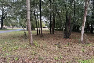 750 W Orange Ave W, Defuniak Springs, FL 32435 - Photo 33